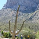 arizona from kells camera - IMG_3007
